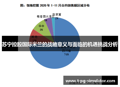 苏宁控股国际米兰的战略意义与面临的机遇挑战分析