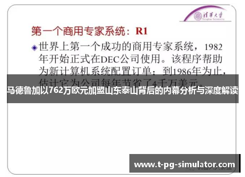 马德鲁加以762万欧元加盟山东泰山背后的内幕分析与深度解读